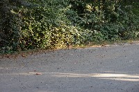 IMGP6282.JPG IMGP6282.JPG