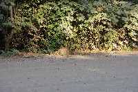 IMGP6283.JPG IMGP6283.JPG