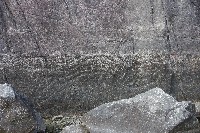 IMGP6286.JPG IMGP6286.JPG