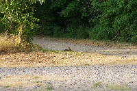 IMGP6295.JPG IMGP6295.JPG