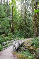 IMGP6296.JPG IMGP6296.JPG