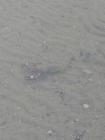 IMG_20180820_110000.jpg IMG_20180820_110000.jpg