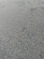 IMG_20180820_110018.jpg IMG_20180820_110018.jpg