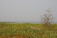 IMGP6400.JPG IMGP6400.JPG