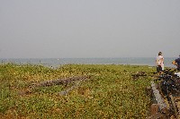 IMGP6401.JPG IMGP6401.JPG