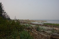 IMGP6402.JPG IMGP6402.JPG