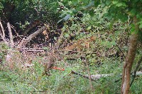 IMGP6408.JPG IMGP6408.JPG