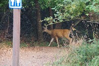 IMGP6409.JPG IMGP6409.JPG