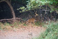 IMGP6410.JPG IMGP6410.JPG