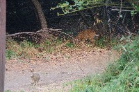 IMGP6411.JPG IMGP6411.JPG