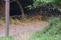 IMGP6412.JPG IMGP6412.JPG