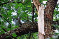 IMGP6414.JPG IMGP6414.JPG