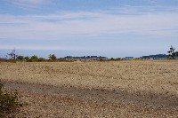 IMGP6421.JPG IMGP6421.JPG