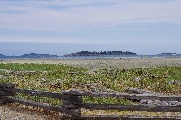 IMGP6422.JPG IMGP6422.JPG