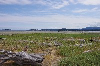 IMGP6423.JPG IMGP6423.JPG