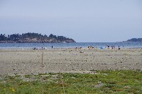 IMGP6424.JPG IMGP6424.JPG