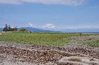 IMGP6425.JPG IMGP6425.JPG