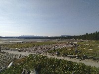 IMG_20180823_091133.jpg IMG_20180823_091133.jpg