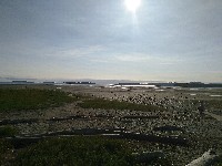 IMG_20180823_091137.jpg IMG_20180823_091137.jpg