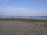 IMG_20180823_173720.jpg IMG_20180823_173720.jpg