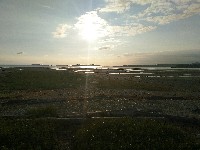 IMG_20180824_074549.jpg IMG_20180824_074549.jpg