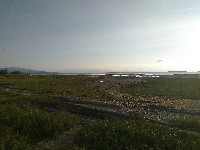 IMG_20180824_074600.jpg IMG_20180824_074600.jpg