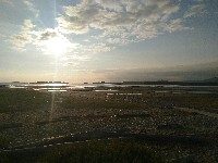 IMG_20180824_074754.jpg IMG_20180824_074754.jpg