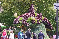 IMGP6433.JPG IMGP6433.JPG