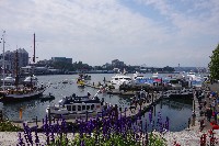 IMGP6436.JPG IMGP6436.JPG