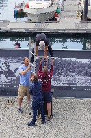 IMGP6442.JPG IMGP6442.JPG