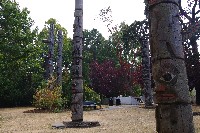 IMGP6458.JPG IMGP6458.JPG