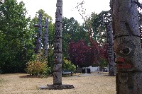 IMGP6459.JPG IMGP6459.JPG