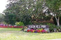 IMGP6460.JPG IMGP6460.JPG