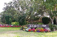 IMGP6461.JPG IMGP6461.JPG