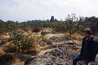 IMGP6462.JPG IMGP6462.JPG