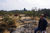 IMGP6463.JPG IMGP6463.JPG