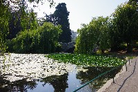 IMGP6464.JPG IMGP6464.JPG