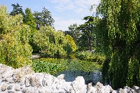 IMGP6465.JPG IMGP6465.JPG