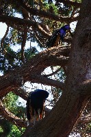 IMGP6469.JPG IMGP6469.JPG