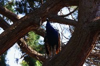 IMGP6470.JPG IMGP6470.JPG