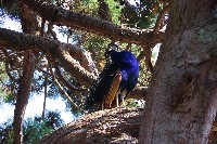 IMGP6471.JPG IMGP6471.JPG