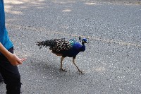 IMGP6472.JPG IMGP6472.JPG