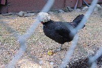 IMGP6473.JPG IMGP6473.JPG