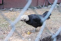 IMGP6474.JPG IMGP6474.JPG