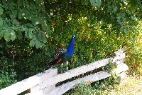 IMGP6476.JPG IMGP6476.JPG