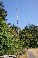 IMGP6478.JPG IMGP6478.JPG