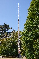 IMGP6481.JPG IMGP6481.JPG