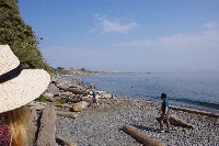 IMGP6486.JPG IMGP6486.JPG