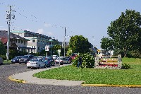 IMGP6498.JPG IMGP6498.JPG