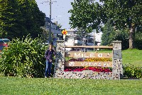 IMGP6499.JPG IMGP6499.JPG